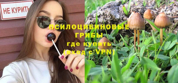 индика Балабаново