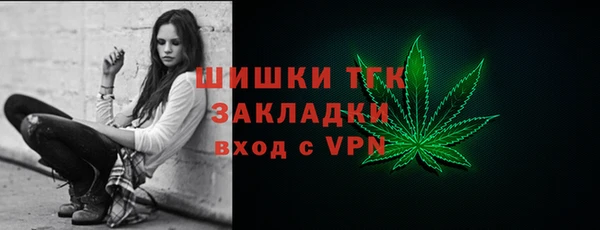 индика Балабаново