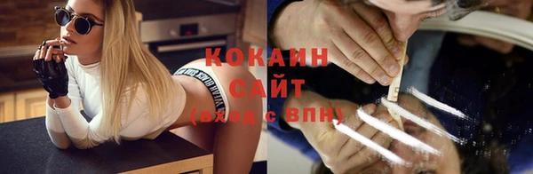 индика Балабаново