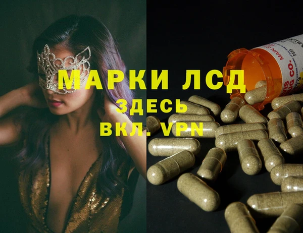 индика Балабаново