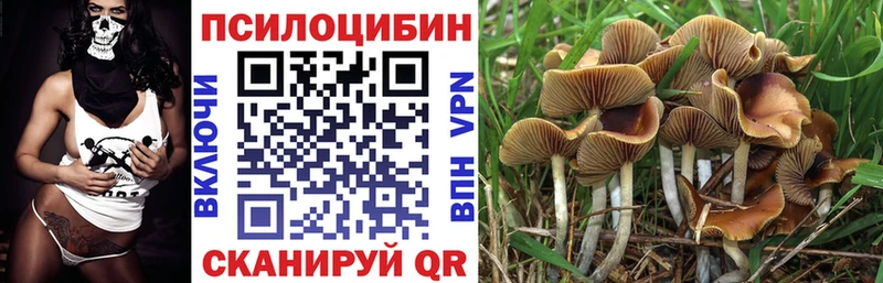 наркотики Каменск-Уральский Псилоцибиновые грибы Magic Shrooms